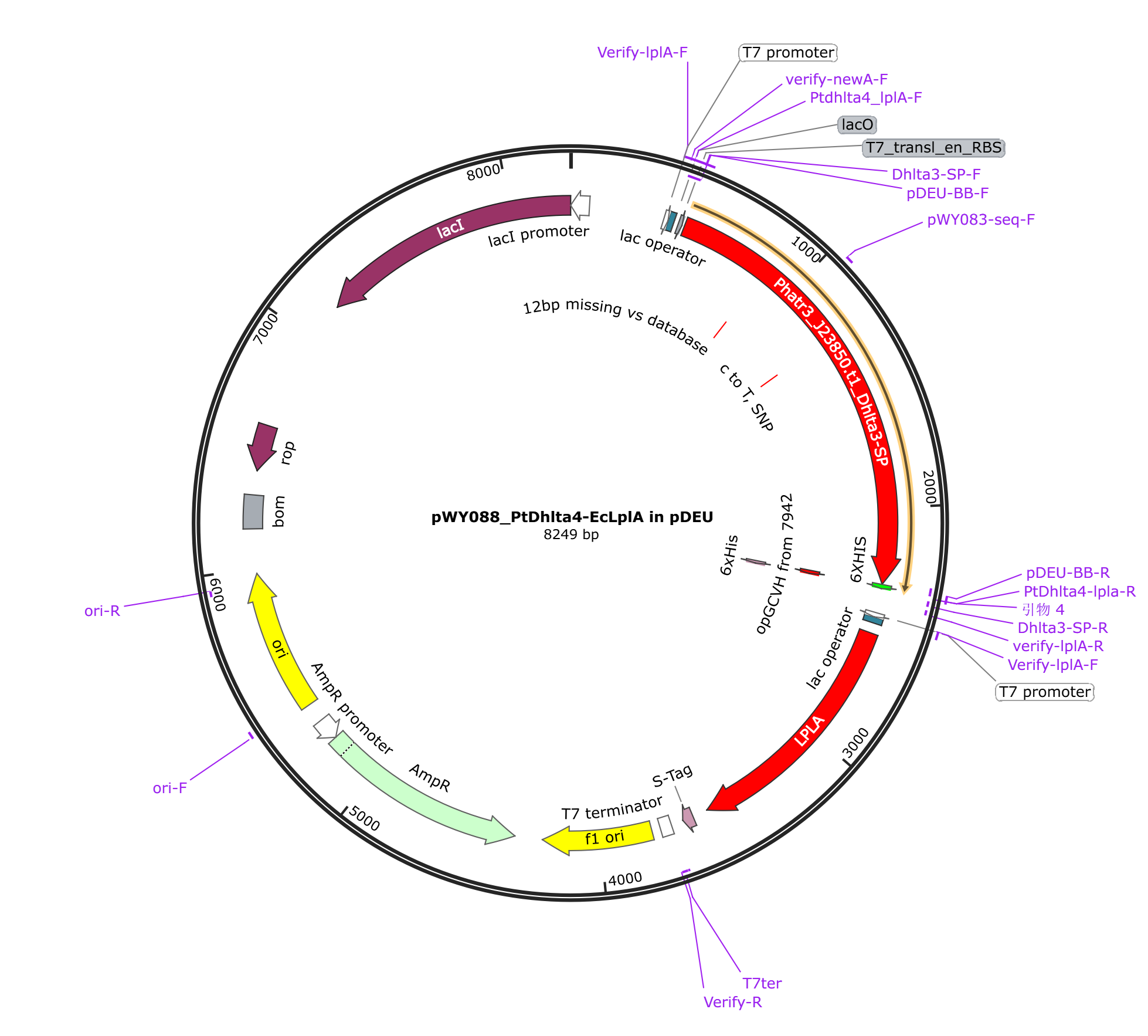pWY088 pETDuet-1_PtPDHE2-EcLplA载体图谱.png